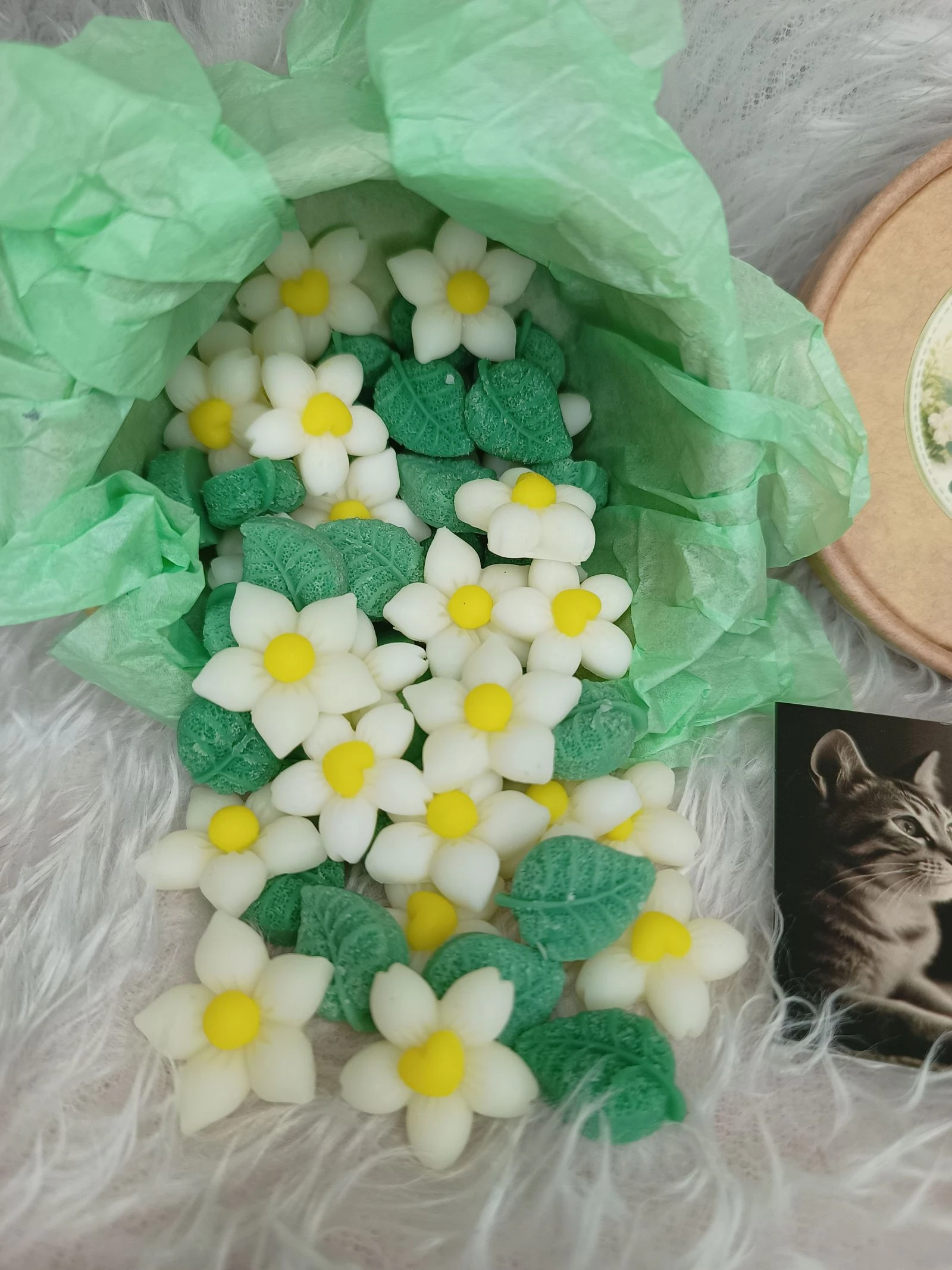 Waxmelts Jasmijn – photo 4